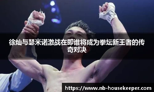 徐灿与瑟米诺激战在即谁将成为拳坛新王者的传奇对决