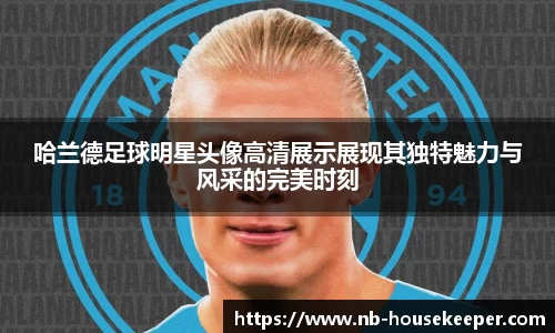 哈兰德足球明星头像高清展示展现其独特魅力与风采的完美时刻